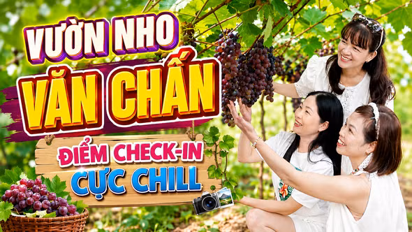 Vườn nho trĩu quả ở Văn Chấn: Điểm check-in mới cực chill hè này