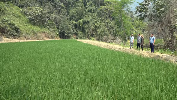 Khát vọng Khe Lóng 2