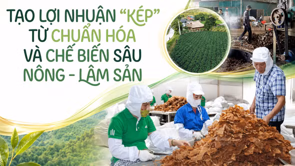 Tạo lợi nhuận “kép” từ chuẩn hóa và chế biến sâu nông - lâm sản