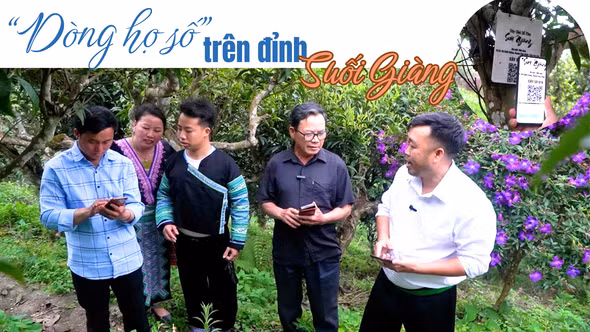 "Dòng họ số" trên đỉnh Suối Giàng