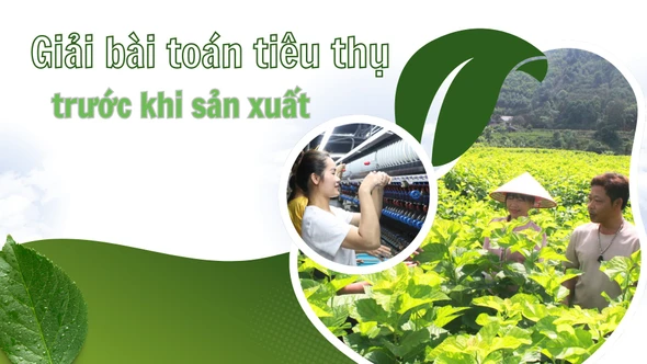 Giải bài toán tiêu thụ trước khi sản xuất