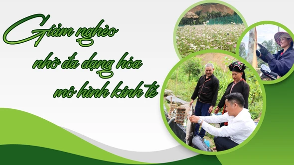 Giảm nghèo nhờ đa dạng hóa mô hình kinh tế