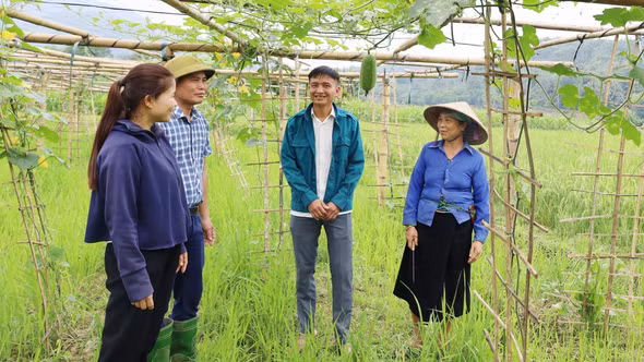 Khánh Yên chuyển mình trong tư duy phát triển nông nghiệp
