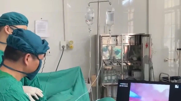 Nhận chuyển giao và triển khai thành công kỹ thuật mới