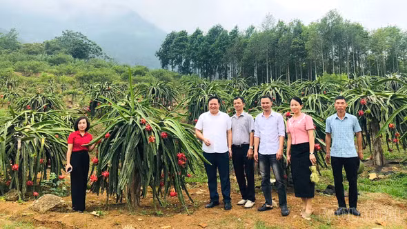 Phường Trung Tâm hoàn thiện từng khâu cuối cùng trước ngày khai hội “Hoa trái bốn mùa - Trải nghiệm và kết nối” năm 2026
