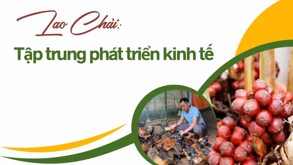 Lao Chải tập trung phát triển kinh tế
