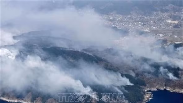 Nhật Bản sơ tán hơn 3.200 người do cháy rừng