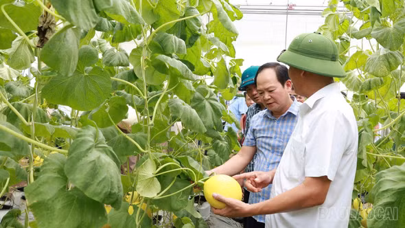 Xã Xuân Quang học tập kinh nghiệm chuyển đổi số, phát triển nông nghiệp công nghệ cao tại xã Thiệu Hóa