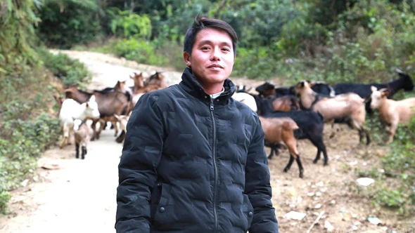 Bám đất, bám bản vươn lên từ chăn nuôi nơi vùng cao