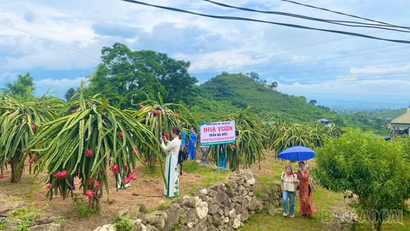 Theo mùa trái ngọt về “Nông trại bốn mùa” phường Trung Tâm