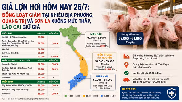 Giá lợn hơi hôm nay 26/7: Đồng loạt giảm tại nhiều địa phương, Quảng Trị và Sơn La xuống mức thấp, Lào Cai giữ giá