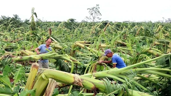 Đề xuất mới về bảo hiểm nông nghiệp