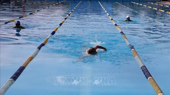 Khai mạc Giải Bơi truyền thống trung, cao tuổi quốc gia lần thứ 28