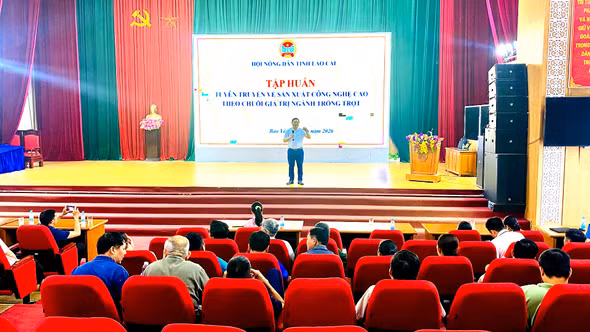 Lào Cai: Tập huấn sản xuất nông nghiệp công nghệ cao, thúc đẩy chuỗi giá trị