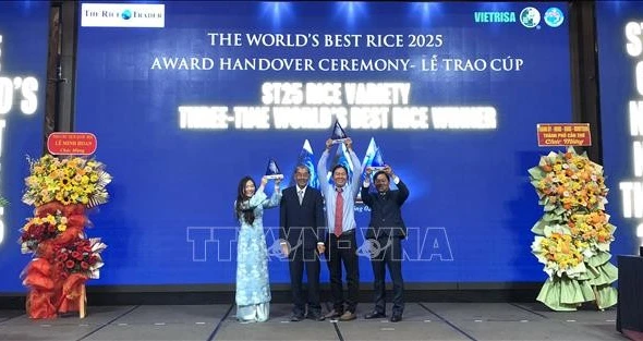 Trao Cúp 'Gạo ngon nhất thế giới' năm 2025 cho gạo ST25