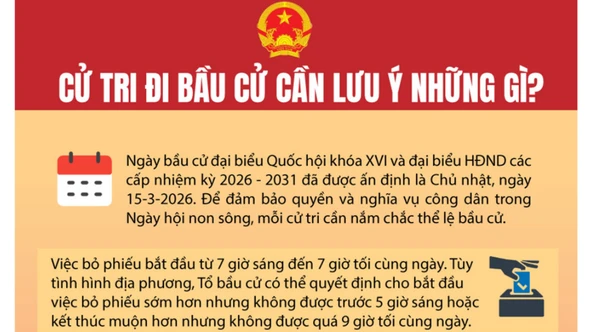 Cử tri đi bầu cử cần lưu ý những gì?