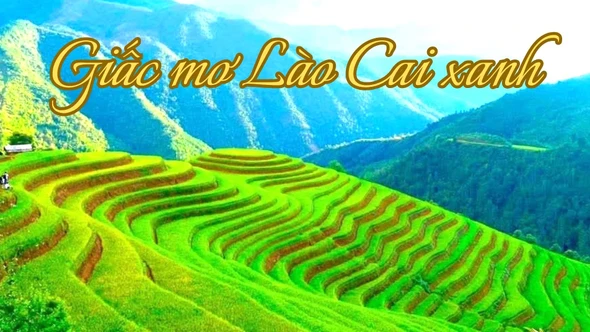 Giấc mơ Lào Cai xanh