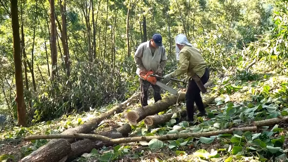 Bảo Ái triển khai đồng bộ giải pháp giảm nghèo