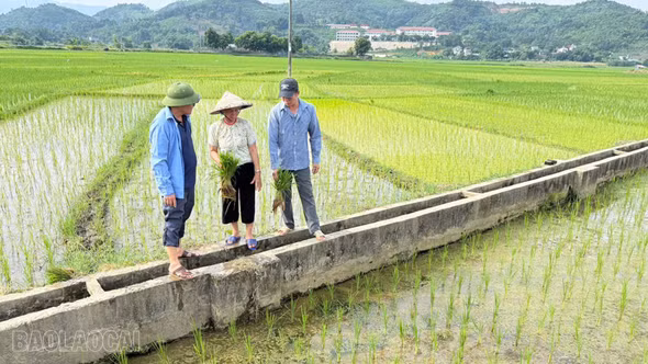 Phân cấp quản lý: Nâng hiệu quả khai thác công trình thủy lợi