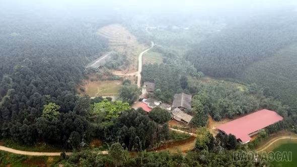  Quy Mông phát triển chăn nuôi theo hướng xanh, bền vững 