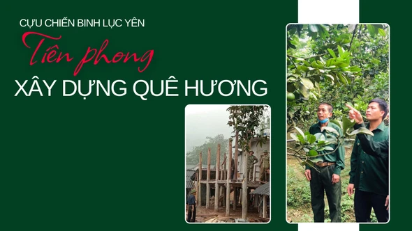 Cựu Chiến binh Lục Yên: Tiên phong xây dựng quê hương