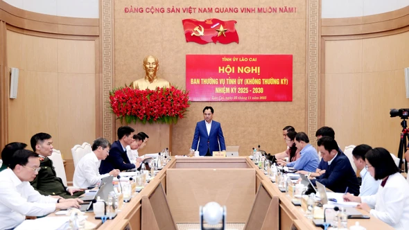 Ban Thường vụ Tỉnh ủy cho ý kiến đối với một số báo cáo, tờ trình quan trọng