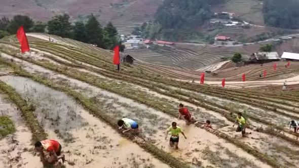Hấp dẫn Giải Leo ruộng bậc thang Mù Cang Chải lần thứ Nhất năm 2026