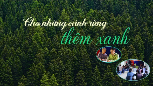 Cho những cánh rừng thêm xanh