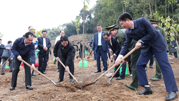 Chủ tịch nước Lương Cường: Mỗi người hãy trở thành một "đại sứ xanh", trồng cây bằng cả tình yêu và trách nhiệm