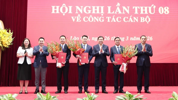 Hội nghị lần thứ 8 Ban Chấp hành Đảng bộ tỉnh về công tác cán bộ