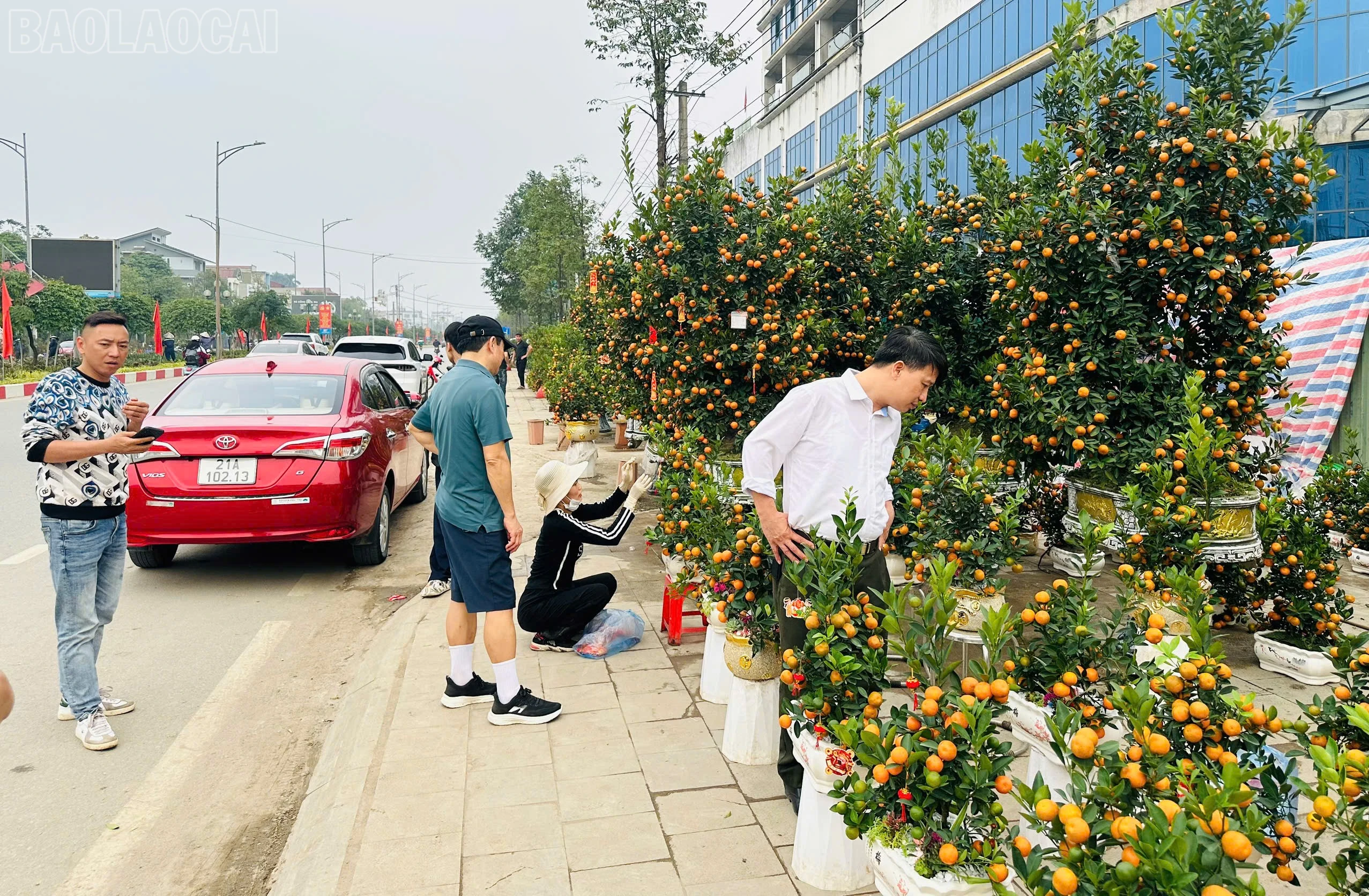 baolaocai-tl_z7511178687641-971793ea3c645f7f42567cd76f5fdddd.jpg