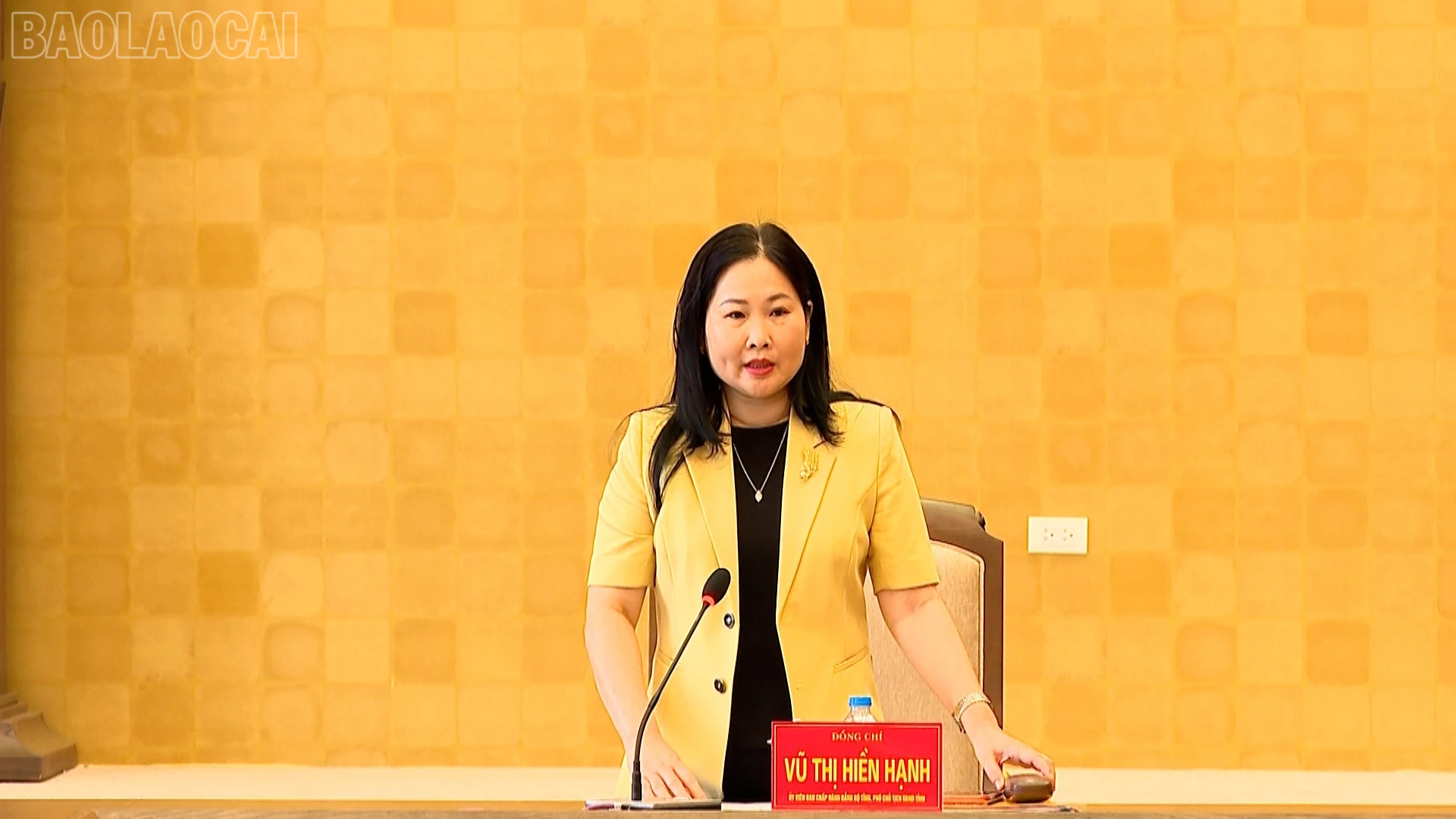 baolaocai-tl_anh-3.jpg