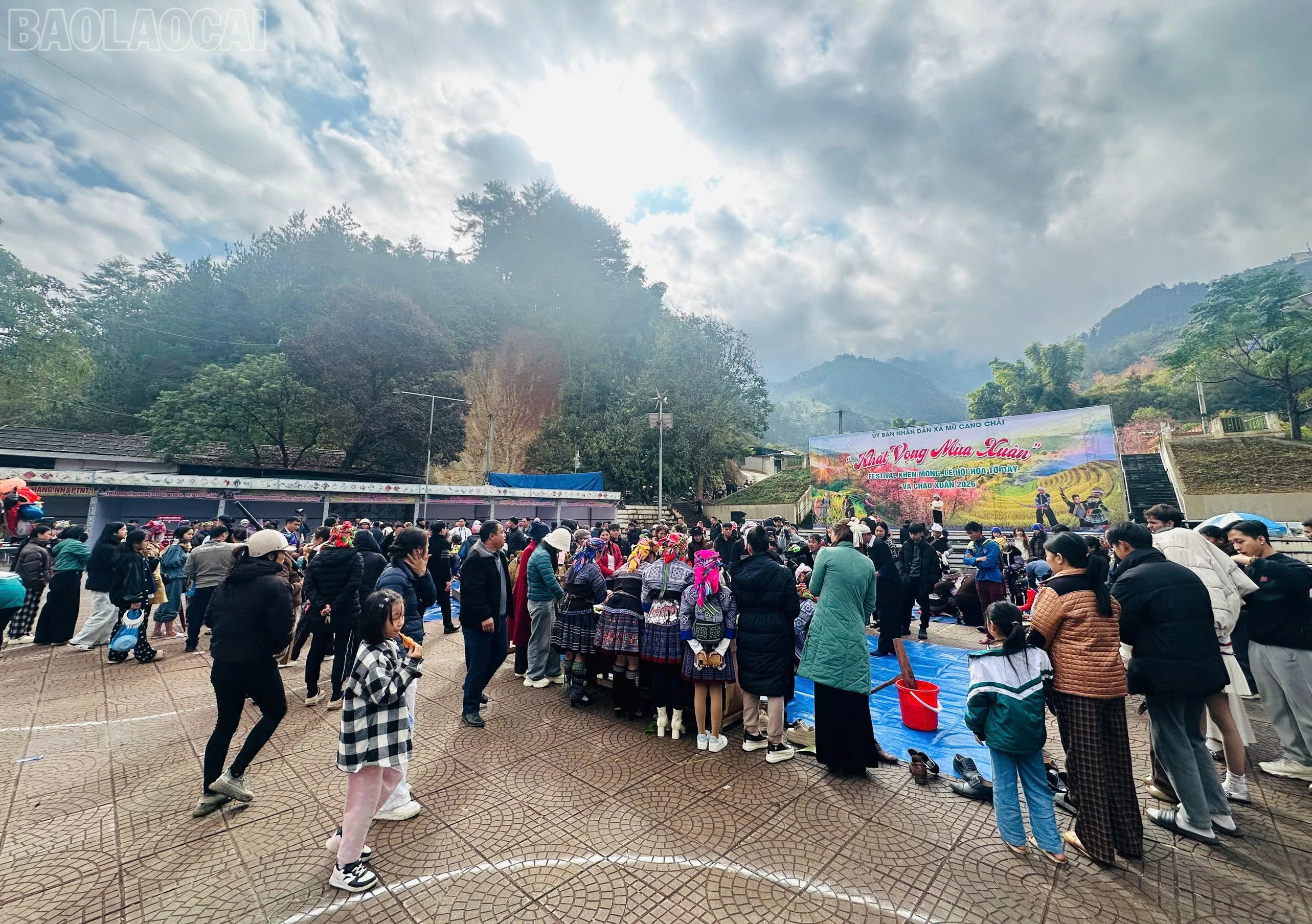 baolaocai-tl_z7395646144926-630cff89a3b628bc9e6cda7f0a091c01.jpg