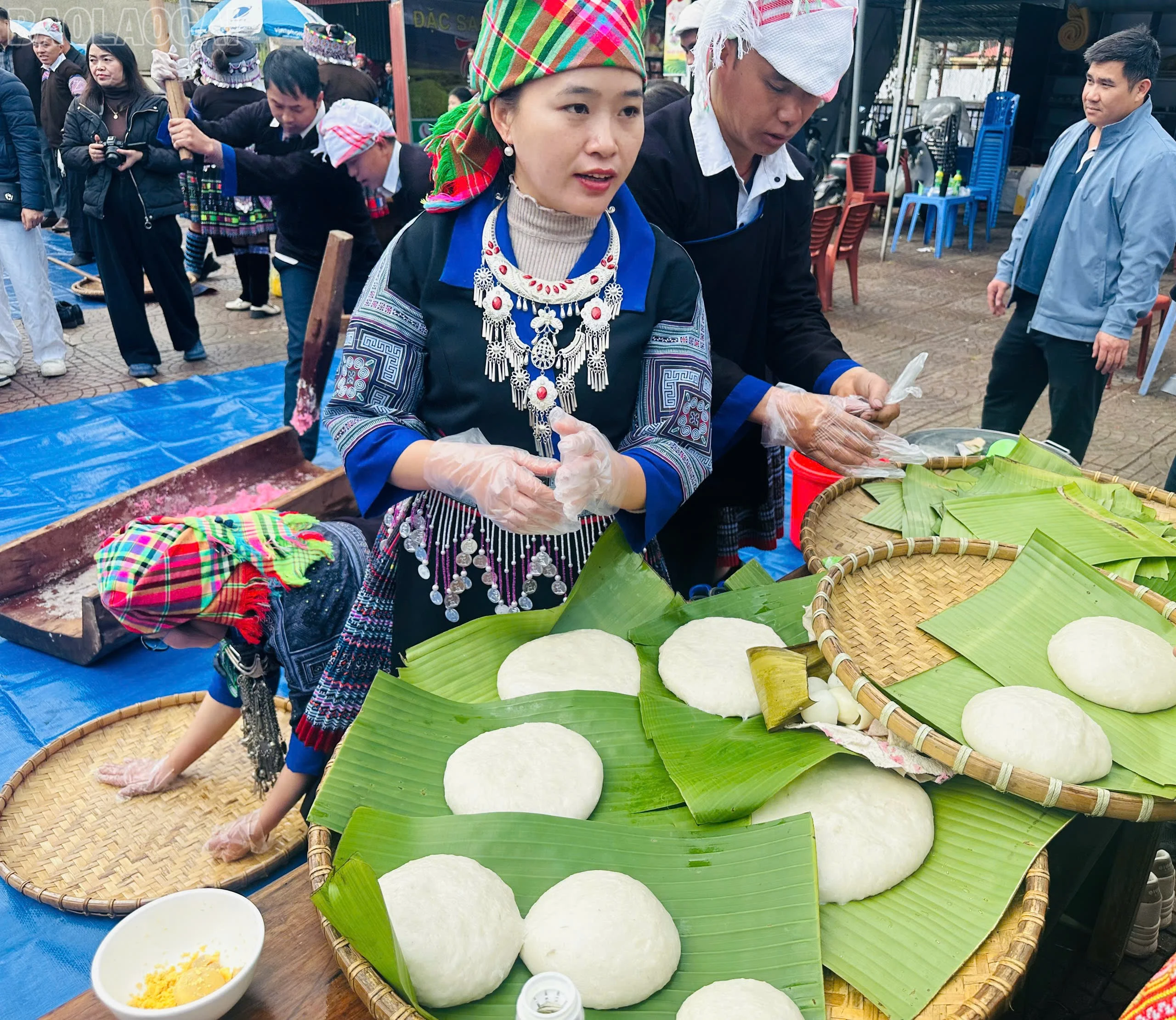 baolaocai-tl_z7395646171943-bb9c4f1da2f4cc45a231e96673459255.jpg