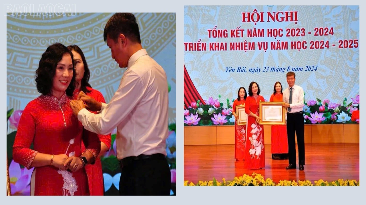 baolaocai-tl_presentation8.jpg