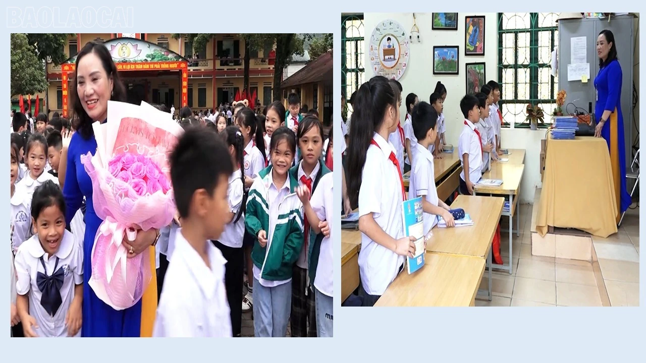 baolaocai-tl_presentation5.jpg
