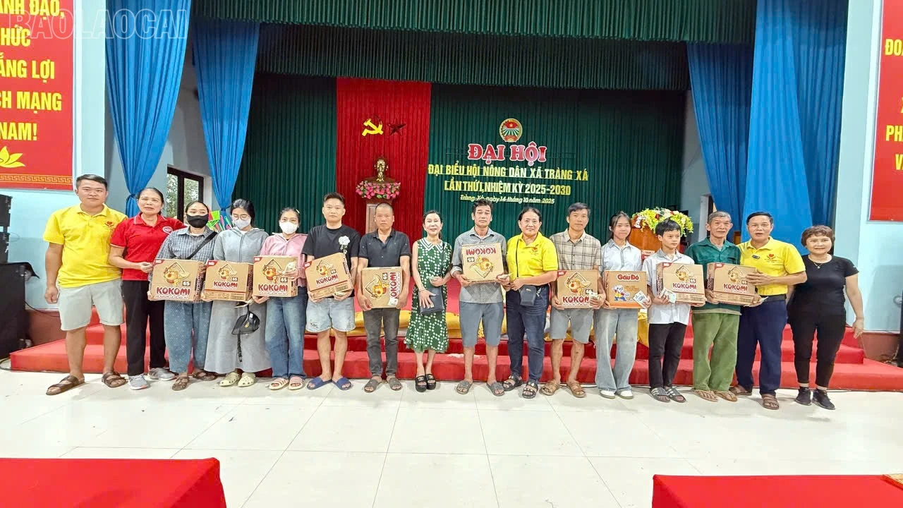 baolaocai-tl_z7241872100481-e0d5a426c6702eda573272eda4401fea.jpg