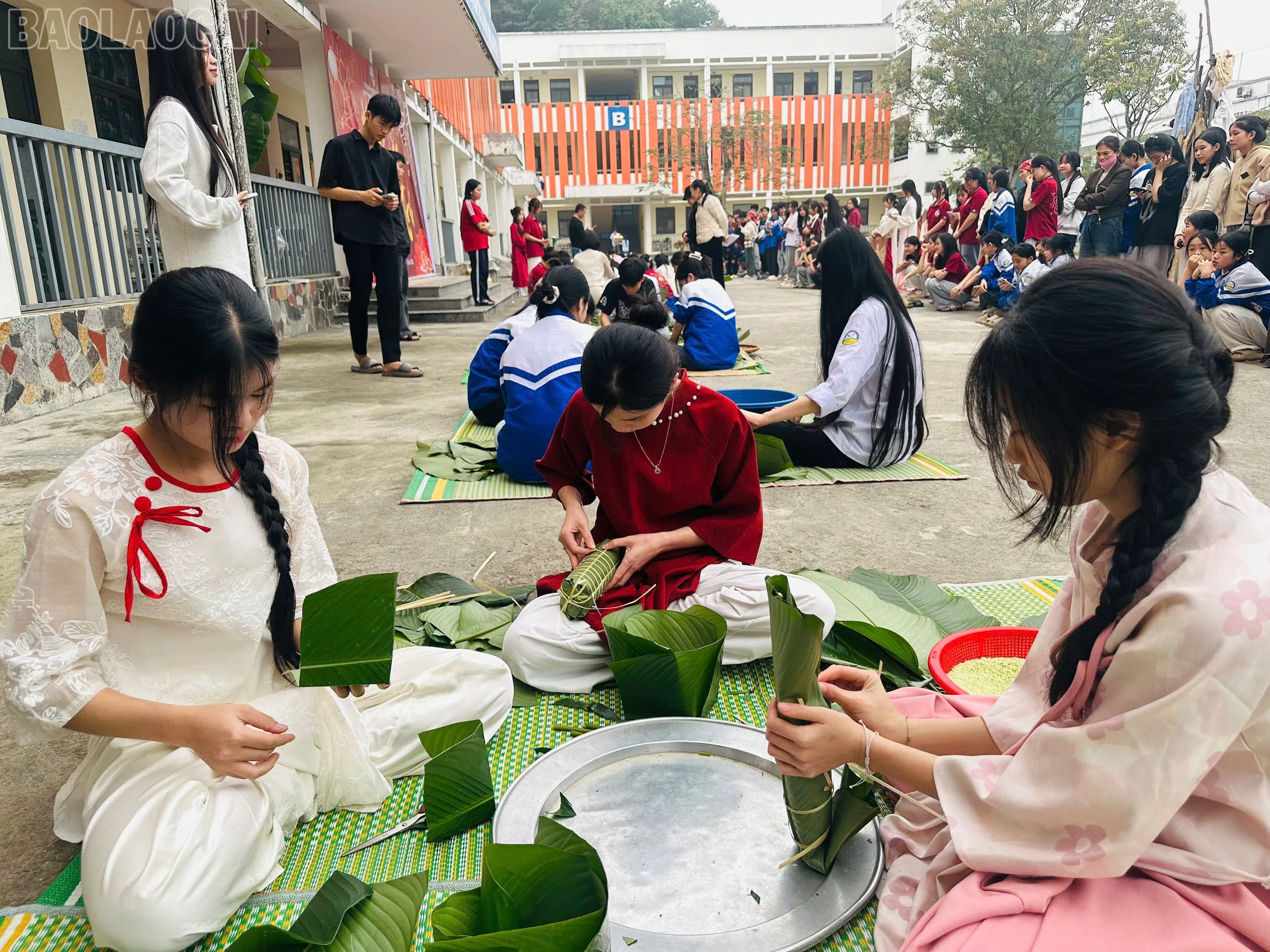 baolaocai-tl_z7489139127155-a3559a5a862253cec528bb0af518c53b.jpg