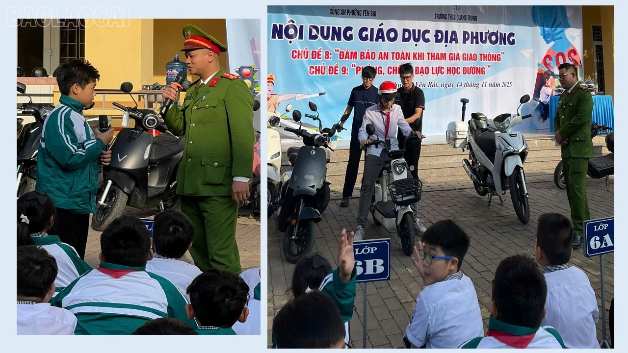 baolaocai-tl_presentation2.jpg