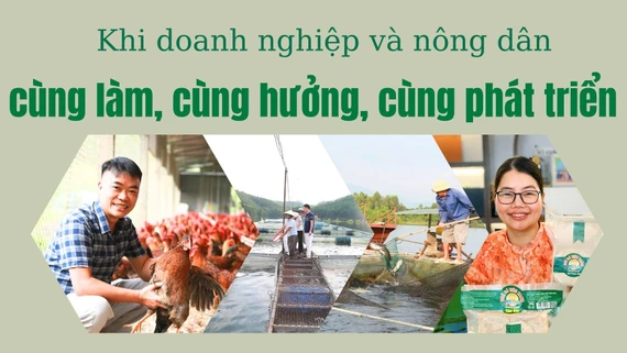 Khi doanh nghiệp và nông dân cùng làm, cùng hưởng, cùng phát triển