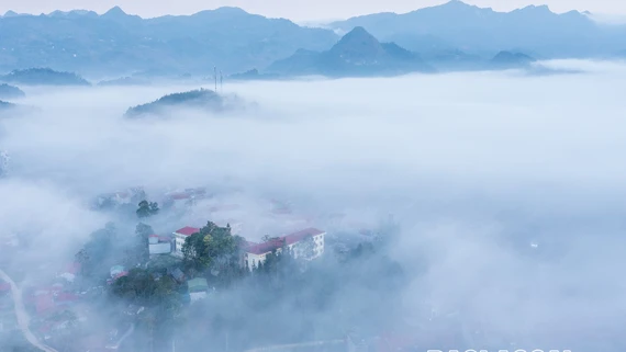 Chủ động ứng phó với rét đậm, rét hại trên địa bàn tỉnh Lào Cai