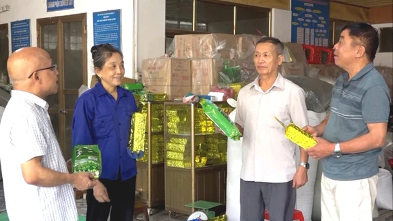 Phát huy tiềm năng "kinh tế bạc" ở Lào Cai