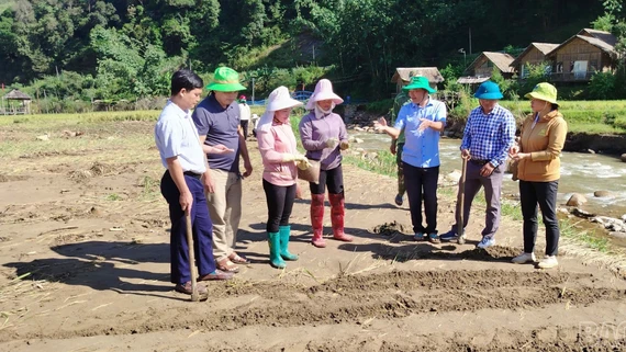 Tỉnh ủy Lào Cai chỉ đạo khẩn trương giải quyết vướng mắc, đảm bảo quyền và lợi ích chính đáng của viên chức, người lao động các đơn vị sự nghiệp công lập cấp xã