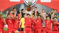 Đội hình tiêu biểu ASEAN Cup: Tuyển Việt Nam áp đảo Thái Lan