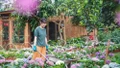 Yên Bái sẵn sàng mùa du lịch sôi động