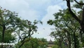 Thời tiết ngày 21/5: Nhiều khu vực ngày nắng nóng, chiều tối mưa dông