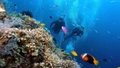 Nha Trang lọt top các điểm đến 'du lịch chậm' hàng đầu châu Á