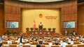 Cán bộ, công chức, viên chức Nhà nước có thể tham gia lực lượng gìn giữ hòa bình