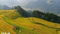 Mù Cang Chải (Yên Bái) lọt top 6 điểm đến tuyệt đẹp nhưng ít người biết ở Việt Nam