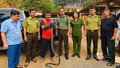 Lào Cai: Tiếp nhận 16 cá thể động vật hoang dã quý hiếm do người dân giao nộp